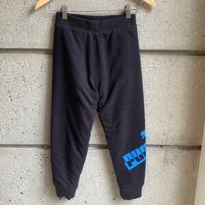 Fleece Lined Puma Sweatpant